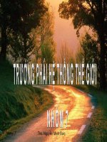 Bài thuyết trình: Lý thuyết về trường phái hệ thống thế giới potx