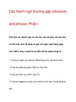 Các thành ngữ thường gặp pptx