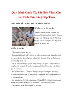 Quy Trình Canh Tác Sắn Bền Vững Cho Các Tỉnh Phía Bắc (Tiếp Theo) doc