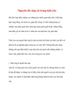 Nguyên tắc ứng xử trong tình yêu pot