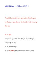 VĂN PHẠM - UNIT 6 - LỚP 11 pptx