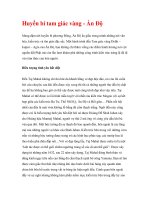 Huyền bí tam giác vàng - Ấn Độ ppt