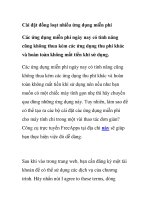 Cài đặt đồng loạt nhiều ứng dụng miễn phí ppsx