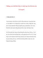 Những con chữ khởi thủy potx