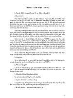 Sổ tay kiểm toán nội bộ pps