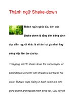 Thành ngữ Shake-down ppsx