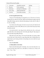 Cách đánh giá rừng Dẻ Hoàng hoa thám phần 6 ppsx