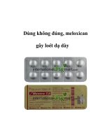 Dùng không đúng, meloxican gây loét dạ dày pdf