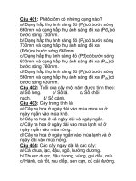 Câu 401: Phitôcrôm có những dạng nào? docx