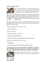 Thế nào là xe bị hao xăng pot