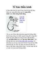 Tế bào thần kinh docx