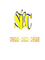 Bài giảng: SÉC pps