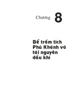 Địa chất và tài nguyên dầu khí Việt Nam - Chương 8 doc