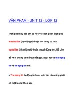 VĂN PHẠM - UNIT 12 - LỚP 12 pdf