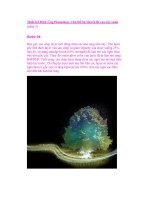 Thiết Kế Hiệu Ứng Photoshop: Chủ Đề Sự Huyền Bí của cây xanh (phần 5) docx