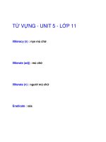 TỪ VỰNG - UNIT 5 - LỚP 11 pptx