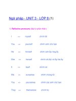Ngữ pháp - UNIT 3 - LỚP 8 (1) pdf