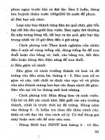 Kỹ Thuật Trồng Cây Ăn Quả Hiệu Quả Cao (Tập 1) - Nguyễn Đình Thiêm phần 5 potx