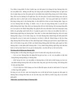 Marketing chiến lược part 7 pps