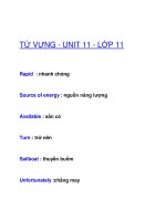 TỪ VỰNG - UNIT 11 - LỚP 11 doc