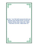 Đề án Vai trò mối quan hệ giữa hai nguồn vốn trong nước và nước ngoài trong việc thúc đẩy tăng trưởng và phát triển kinh tế