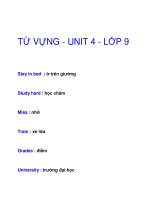 TỪ VỰNG - UNIT 4 - LỚP 9 potx