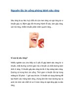 Nguyên tắc ăn uống phòng bệnh sâu răng pot