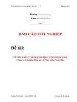 Báo cáo thực tập “Tổ chức quản lý, sử dụng lao động và tiền lương trong Công ty Cổ phần Đầu tư và Phát triển Nam Bắc” pps