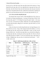 Cách đánh giá rừng Dẻ Hoàng hoa thám phần 8 pot