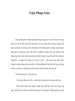 Liệu Pháp Giác pdf