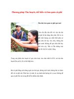 Phương pháp Thu hoạch, chế biến và bảo quản cà phê pptx