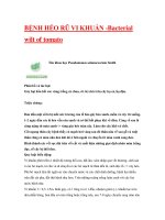 BỆNH HÉO RŨ VI KHUẨN pptx