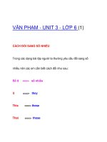 VĂN PHẠM - UNIT 3 - LỚP 6 (1) pptx