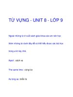 TỪ VỰNG - UNIT 8 - LỚP 9 doc