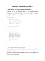 Hướng dẫn thao tác file DataBase File bằng C# pot