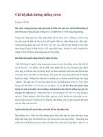 Chế độ dinh dưỡng chống stress potx