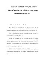 CÁC YẾU TỐ NGUY CƠ MẠCH MÁU Ở PHẦN GIỮA CUỘC ĐỜI VÀ BỆNH ALZHEIMER Ở PHẦN SAU CUỘC ĐỜI ppt