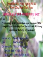 Báo cáo: “Ảnh hưởng của độ chín đến hàm lượng polyphenol, khả năng kháng oxi hoá của quả sim thu hái ở tỉnh Hải Dương và sơ bộ xác định điều kiện tách chiết” potx