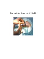 Độc tính của thuốc gây tê tại chỗ pptx