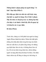 Những hành vi phạm pháp mà người dùng 