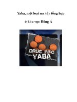 Yaba, một loại ma túy tổng hợp ở khu vực Đông Á pptx