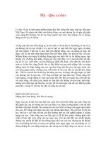 Mẹ - Qua ca dao pot