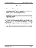 tìm hiểu về cán cân thương mại việt trung (đến năm 2010) ppt