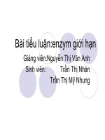 Tiểu luận enzyme giới hạn (2)