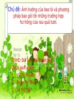 Bài thuyết trình: Ảnh hưởng của bao bì và phương pháp bao gói tới những trường hợp hư hỏng của rau quả tươi. pot