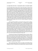 Kinh tế Fulbright - Các định chế, nhà nước và thị trường: đối tác cho phát triển pdf