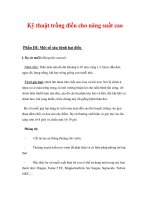 Kỹ thuật trồng điều cho năng suất cao pps