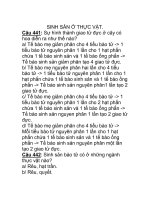 SINH SẢN Ở THỰC VẬt ppsx