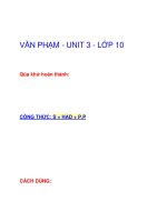 VĂN PHẠM - UNIT 3 - LỚP 10 pps