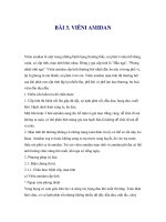 Bệnh Ngũ Quan - Chương IV - BÀI 3. VIÊNI AMIDAN pps